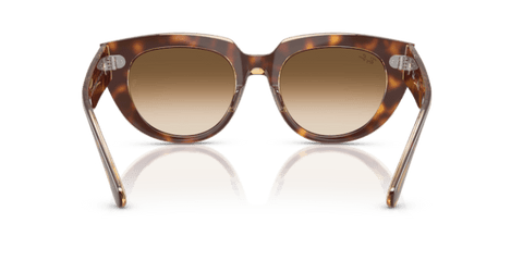 Light Havana On Transparent Multicolour - 0RB2286 8056262246337