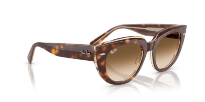 Light Havana On Transparent Multicolour - 0RB2286 8056262246337