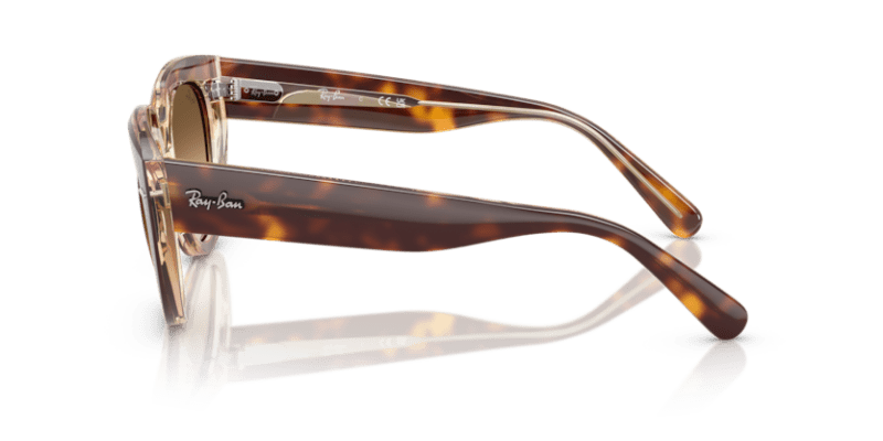 Light Havana On Transparent Multicolour - 0RB2286 8056262246337