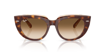 Light Havana On Transparent Multicolour - 0RB2286 8056262246337