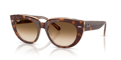 Light Havana On Transparent Multicolour - 0RB2286 8056262246337