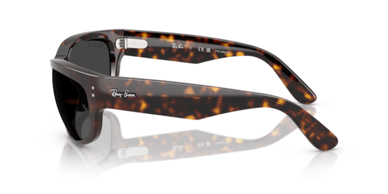 Havana - 0RB2289 8056262268223