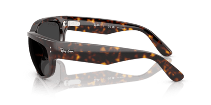 Havana - 0RB2289 8056262268223