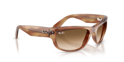 Striped Brown - 0RB2289 8056262268162