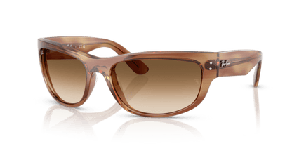 Striped Brown - 0RB2289 8056262268162