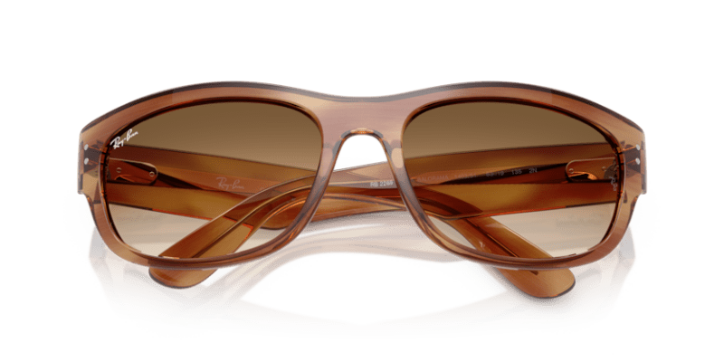 Striped Brown - 0RB2289 8056262268162