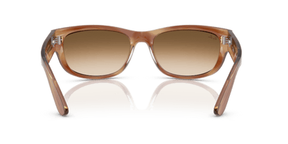 Striped Brown - 0RB2289 8056262268162