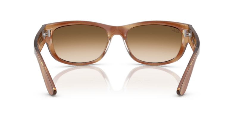 Striped Brown - 0RB2289 8056262268162