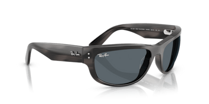 Striped Gray - 0RB2289 8056262268186