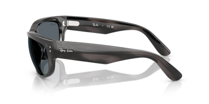 Striped Gray - 0RB2289 8056262268186