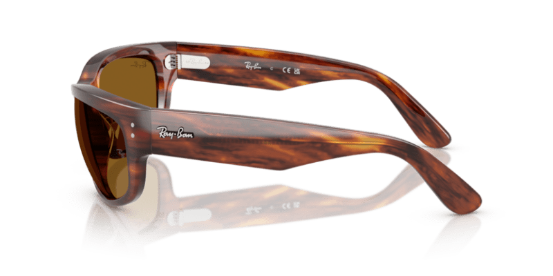 Striped Havana - 0RB2289 8056262268247