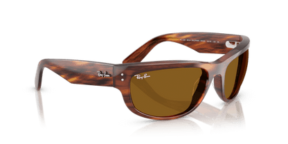 Striped Havana - 0RB2289 8056262268247