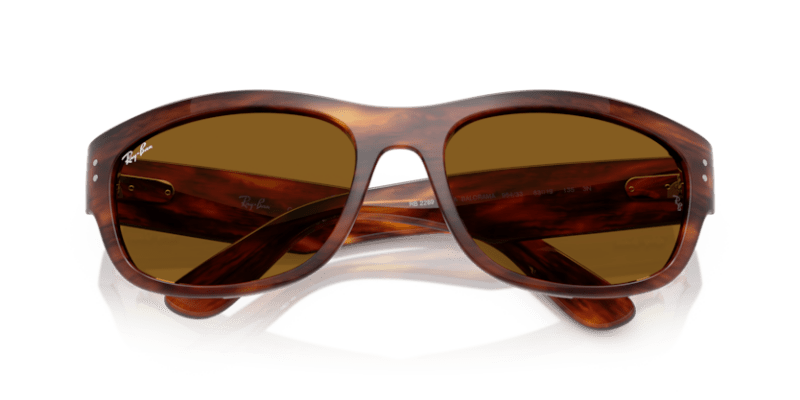 Striped Havana - 0RB2289 8056262268247