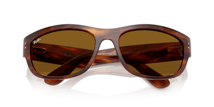 Striped Havana - 0RB2289 8056262268247