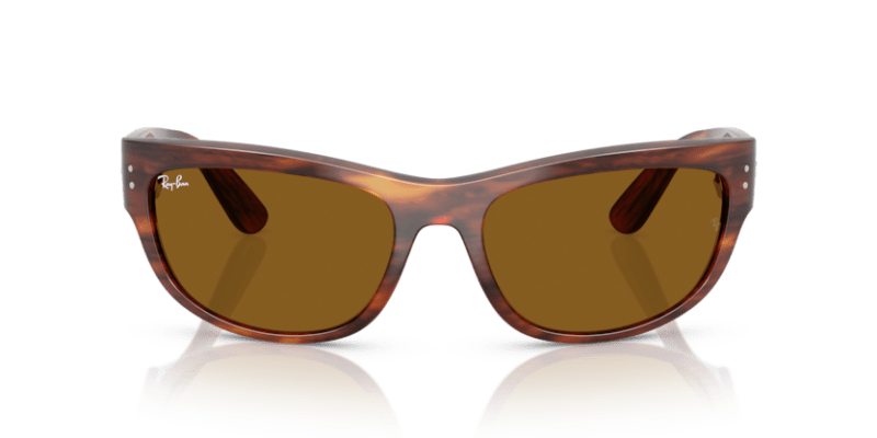 Striped Havana - 0RB2289 8056262268247