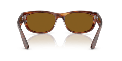 Striped Havana - 0RB2289 8056262268247