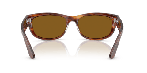 Striped Havana - 0RB2289 8056262268247
