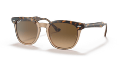 0RB2298 - Ray - Ban - (Havana On Transparent Brown) Brown Polarized - 52 - 21 - 145 MM - Ardor Eyewear 8056597626682