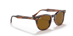 0RB2298 - Ray - Ban - (Striped Havana) Brown - 52 - 21 - 145 MM - Ardor Eyewear 8056597626767