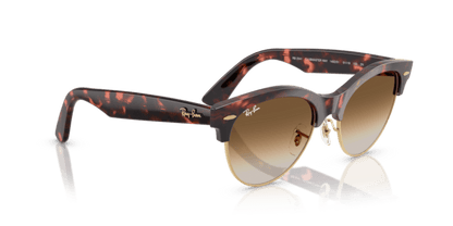 Pink Tortoise On Gold - 0RB2341 8056262413074