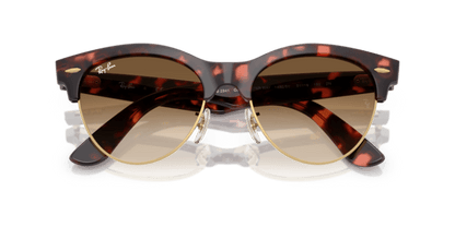 Pink Tortoise On Gold - 0RB2341 8056262413074