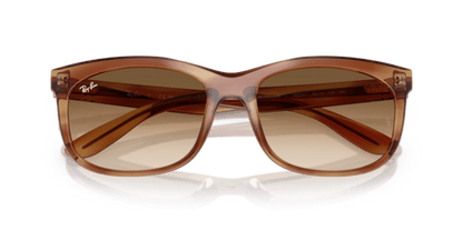 Striped Brown - 0RB2389 8056262246719