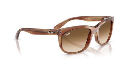 Striped Brown - 0RB2389 8056262246719