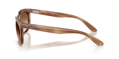 Striped Brown - 0RB2389 8056262246719