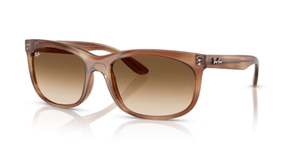 Striped Brown - 0RB2389 8056262246719