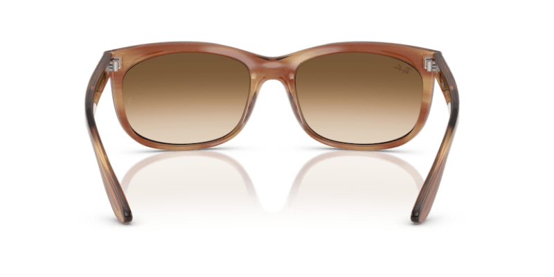 Striped Brown - 0RB2389 8056262246719