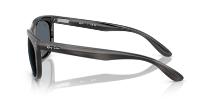 Striped Gray - 0RB2389 8056262246757