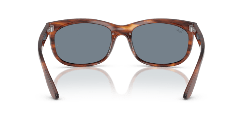 Striped Havana - 0RB2389 8056262246870