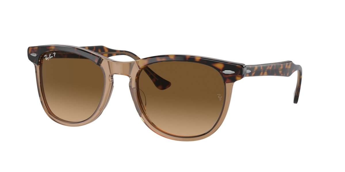 0RB2398 - Ray - Ban - Frame: Gold - (Havana On Transparent Brown 1292M2) - Lens: Brown Polarized - 53 MM - Ardor Eyewear