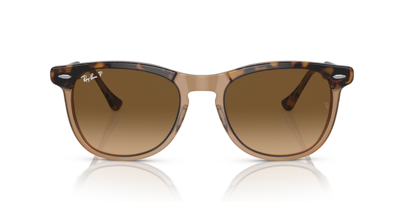 0RB2398 - Ray - Ban - Frame: Gold - (Havana On Transparent Brown 1292M2) - Lens: Brown Polarized - 53 MM - Ardor Eyewear