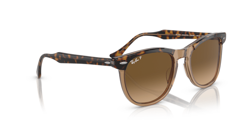 0RB2398 - Ray - Ban - Frame: Gold - (Havana On Transparent Brown 1292M2) - Lens: Brown Polarized - 53 MM - Ardor Eyewear