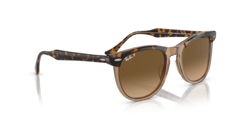 0RB2398 - Ray - Ban - Frame: Gold - (Havana On Transparent Brown 1292M2) - Lens: Brown Polarized - 53 MM - Ardor Eyewear