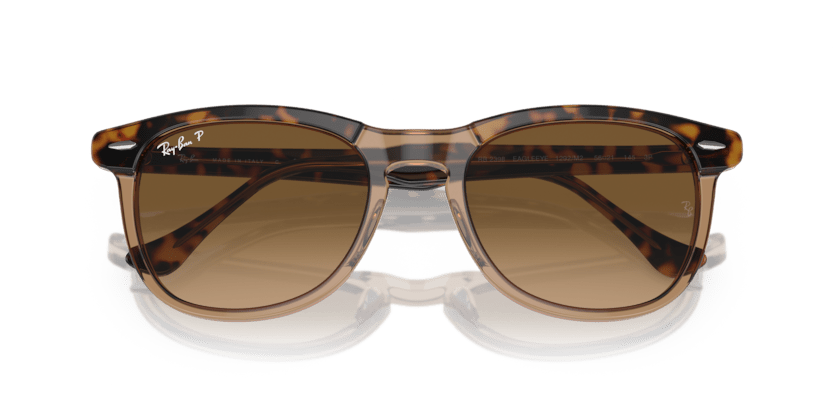 0RB2398 - Ray - Ban - Frame: Gold - (Havana On Transparent Brown 1292M2) - Lens: Brown Polarized - 53 MM - Ardor Eyewear