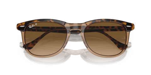 0RB2398 - Ray - Ban - Frame: Gold - (Havana On Transparent Brown 1292M2) - Lens: Brown Polarized - 53 MM - Ardor Eyewear