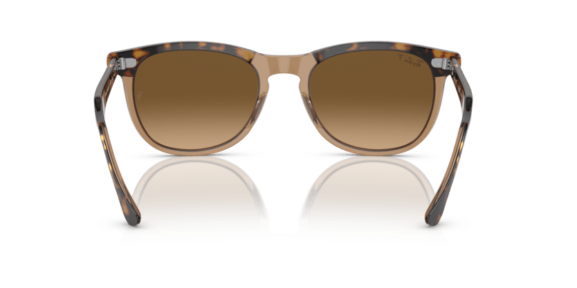 0RB2398 - Ray - Ban - Frame: Gold - (Havana On Transparent Brown 1292M2) - Lens: Brown Polarized - 53 MM - Ardor Eyewear