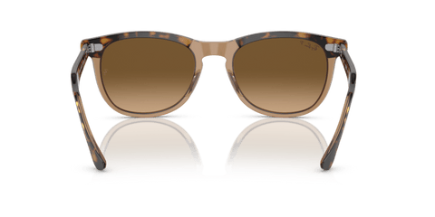 0RB2398 - Ray - Ban - Frame: Gold - (Havana On Transparent Brown 1292M2) - Lens: Brown Polarized - 53 MM - Ardor Eyewear