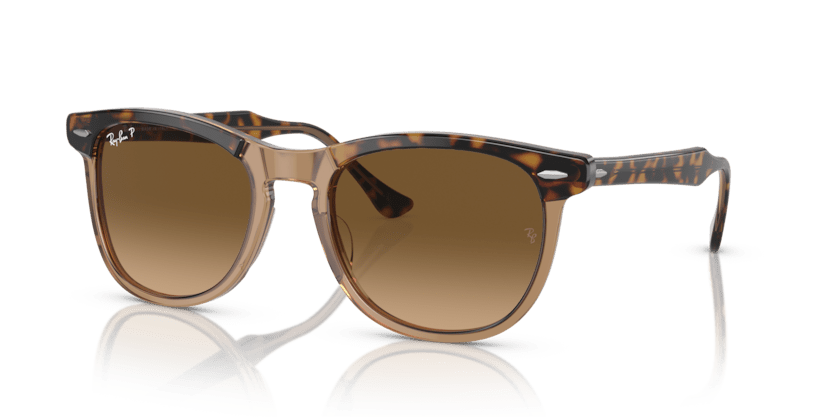 0RB2398 - Ray - Ban - Frame: Gold - (Havana On Transparent Brown 1292M2) - Lens: Brown Polarized - 53 MM - Ardor Eyewear