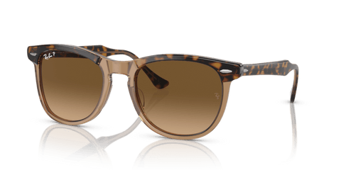 0RB2398 - Ray - Ban - Frame: Gold - (Havana On Transparent Brown 1292M2) - Lens: Brown Polarized - 53 MM - Ardor Eyewear