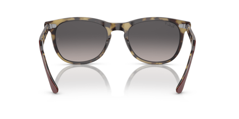 0RB2398 - Ray - Ban - Frame: Tortoise - (Bordeaux On Yellow Havana 1377M3) - Lens: Grey Polarized - 53 MM - Ardor Eyewear