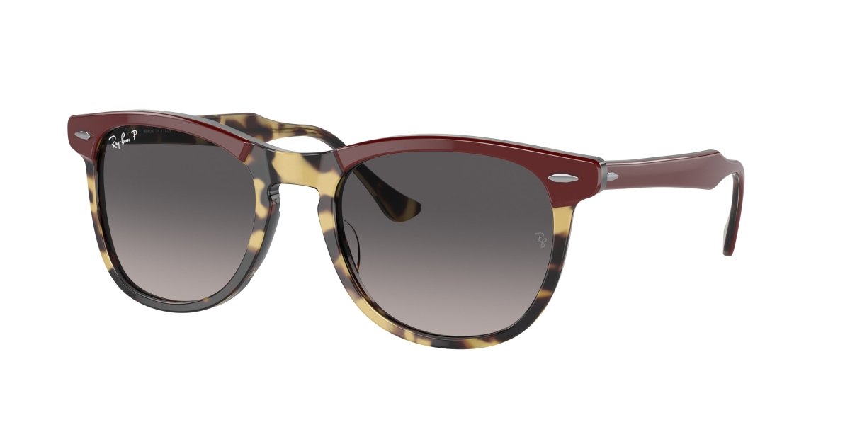 0RB2398 - Ray - Ban - Frame: Tortoise - (Bordeaux On Yellow Havana 1377M3) - Lens: Grey Polarized - 53 MM - Ardor Eyewear