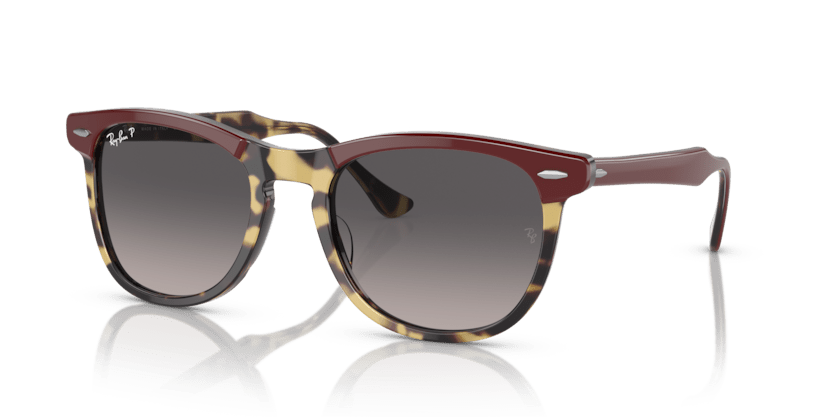 0RB2398 - Ray - Ban - Frame: Tortoise - (Bordeaux On Yellow Havana 1377M3) - Lens: Grey Polarized - 53 MM - Ardor Eyewear