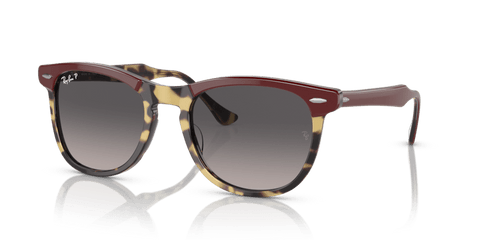 0RB2398 - Ray - Ban - Frame: Tortoise - (Bordeaux On Yellow Havana 1377M3) - Lens: Grey Polarized - 53 MM - Ardor Eyewear