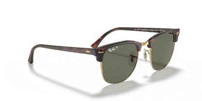 Tortoise On Gold - 0RB3016 805289346913