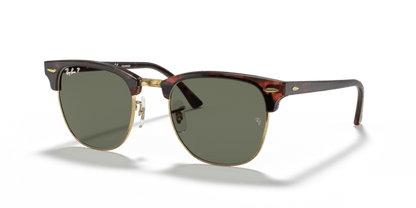 Tortoise On Gold - 0RB3016 805289346913