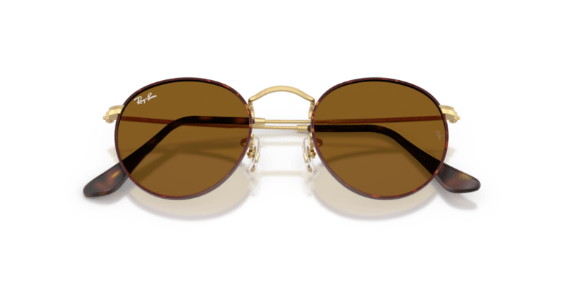 Matte Havana On Matte Arista Gold - 0RB3447 8056262484678