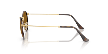 Matte Havana On Matte Arista Gold - 0RB3447 8056262484678